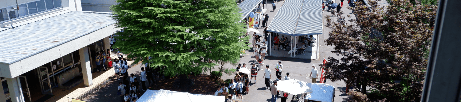 学校概要